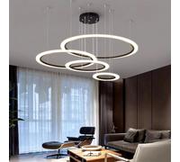 LXYST Dine Salle Manger Suspension d'éclairage plafonnier Lampe à Plafond Suspendu éclairage intérieur décoratif, Anneau 60 cm-rc rc