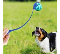lyanny Lanceur De Balle pour Chien | Lanceur De Balles pour Petits Chiens avec Poignée Ergonomique | Jouets Interactifs De Lancer pour Exercice Et Dressage | pour Jeu dans Jardin Parc Plage
