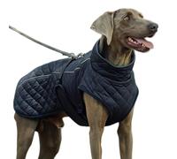 lyanny Veste pour chien | Coton réfléchissant, col roulé Manteau d'hiver pour chiens - Pour activités de plein air telles que la randonnée, le pique-nique, le camping, le ski, les promenades en ville