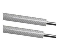 LYBH Vérins À Gaz De Hayon Arrière Pour Clio MK2 (1998-2005) - Référence : 7700842256 Vérin À Ressort À Gaz(Argent)