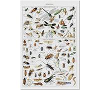 LYBSSG Vintage Insectes - Puzzle 1000 Pièces pour Adultes et Enfants, Jouet Éducatif pour Tout-Petits
