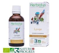 Lycope Bio - Thyroïde Teinture-Mère Lycopus Europaeus 50 Ml - Herbiolys
