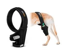 Lyderpet Genouillère pour chien pour patte arrière déchirée du LCA, genouillère arrière pour luxation de la rotule, ressort en métal, soutien solide et soin des articulations flexible, facile à mettre