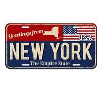 LYEAA Plaque en métal vintage avec plaque d'immatriculation New York - Décoration murale rectangulaire - 30 x 15 cm (2)