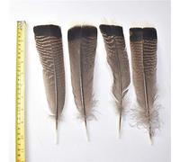 LYFANG Lot de 10 plumes d'aigle naturelles de 15 à 40 cm pour loisirs créatifs, décoration de mariage