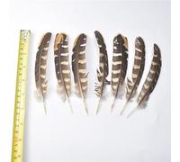 LYFANG Lot de 10 plumes d'aigle naturelles de 15 à 40 cm pour loisirs créatifs, décoration de mariage