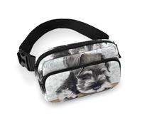 Lyfthologen Zombies Dead Men Walking Body at Night Sac banane réglable pour course à pied, marche, randonnée, Chien Schnauzer mignon, 20x13cm