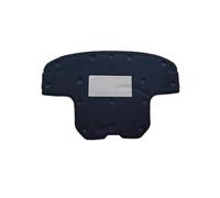 LYHH Coussin d'isolation Phonique de Capot Avant Voiture, pour Mercedes-Benz GLC X253 C253 250 200 2016~2022 Tapis d'isolation Thermique de Moteur Avant Tampon insonorisant,Black