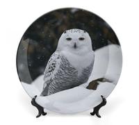 LYHVSFJW Assiette décorative en céramique avec support pour décoration murale Motif chouette des neiges 20,3 cm