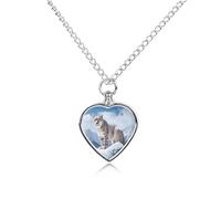 LYHVSFJW Collier urne funéraire léopard des neiges pour cendres - Collier funéraire pour chiens et chats - Pendentif funéraire pour animal domestique - Médaillon souvenir - Pendentifs commémoratifs