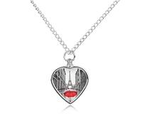 LYHVSFJW Collier urne parapluie rouge Tour Eiffel Paris pour cendres Collier funéraire en forme de cœur pour chiens et chats Pendentif urne funéraire pour animal domestique Médaillon Bijoux Souvenir