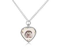 LYHVSFJW Joli collier urne en forme de cœur pour cendres de bébé hérisson - Collier funéraire pour chiens et chats - Pendentif funéraire pour animal domestique - Médaillon souvenir - Pendentifs
