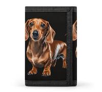 LYHVSFJW Portefeuille beige simple à trois volets avec 8 emplacements pour cartes, poche fine à fermeture éclair pour pièces de monnaie, portefeuille divisé pour homme et femme, Teckel Weiner Pet Dog,