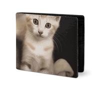 LYHVSFJW Portefeuille en cuir pour homme - Porte-monnaie élégant pour femme - Fin et fin - Imprimé guitare musicale - Porte-cartes, Chats de la famille des chatons, Taille unique