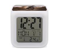 LYHVSFJW Réveil numérique avec 7 couleurs de motocross coloré - Petit réveil LED - Minuteur de sommeil - Réveil intelligent pour les dormeurs profonds - Simple à utiliser et facile à utiliser