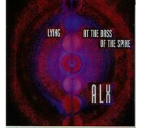 Lying at the bass of the spine