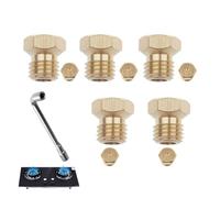 Lyivisk Lot de 5 injecteurs de gaz et 1 manchon de buse pour cuisinière à gaz GPL, propane et barbecue à gaz, buses universelles pour brûleur au propane M6 x 0,75 (0,50/0,70/0,87/1,02 mm)