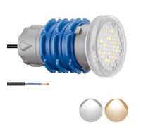 LyLmLe Mini Projecteur Piscine Vissable avec Filetage 1" 1/2, 6W LED Eclairage Piscine Blanc Commutable 3000K & 6000K, Ø49mm, 12V AC Sous l'eau IP68 Étanchéité Lampe pour Piscines Béton SPA Escaliers