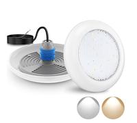 LyLmLe Projecteur Piscine Vissable avec Filetage 1" 1/2, 18W LED Eclairage Piscine Blanc Commutable 3000K & 6000K, Ø242mm, 12V AC Sous l'eau IP68 Étanchéité Lampe LED pour Piscines Béton