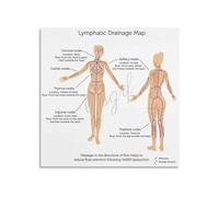 Lymphatic System Educational Chart Map Poster Informative Human Anatomy Canvas Wall Art for Home Office(Framed,16x24inch(40x60cm))