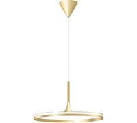 LYMSXAZOU Lustre Suspendu en Aluminium avec éclairage LED doré, chaîne réglable, éclairage latéral, plafonnier pour Chambre, Restaurant, Salle à Manger, Salon (Colorado)