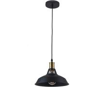 LYMSXAZOU Suspensions Noires rouillées, Lampes de Plafond Anciennes, Appliques Edison E27, luminaires Suspendus d'intérieur