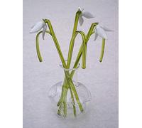 Lyndas Gifts Perce-Neige en Verre avec Vase