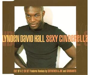 Lynden David Hall - Sexy Cinderella