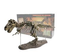 LYNN Tyrannosaure Rex Squelette Dinosaure T Rex Animal Model Jouets Collector Super Décoration (190325MQ02#QC#BYC)