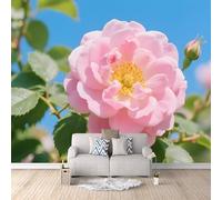 LYNNB Papier Peint Panoramique 3D Fleurs Papier Peint Murale Fleurs Rose Pâle Poster Tableaux Muraux, Photo Mural Salon Chambre TV Mur de fond Décor 300 × 210 cm (L x H)
