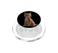 Lynx Rouge Chat Sauvage Chat Prédateur Doux Lynx PopSockets PopGrip pour MagSafe