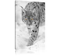 lynx vigilant dans la neige noir / blanc sur toile, énorme XXL photos complètement encadrée avec civière, impression d'art sur ??la photo murale avec cadre, moins cher que la peinture ou une peinture à l'huile, pas une affiche ou une bannière