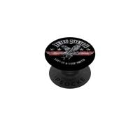 Lynyrd Skynyrd Dyin Breed Logo Drapeau US 70s Vintage Rock Band PopSockets PopGrip Adhésif