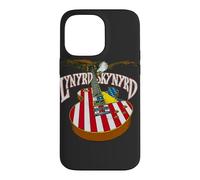 Lynyrd Skynyrd Guitare Eagle Retro années 70 Classique Rock Drapeau US Coque pour iPhone 14 Pro Max