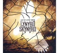 Lynyrd Skynyrd – Last of a Dyin Breed – Vinyle Or – Édition augmentée limitée – Import
