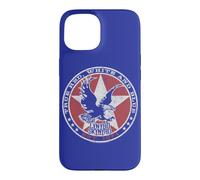 Lynyrd Skynyrd Red White and Blue Eagle Stars Retro Rock années 70 Coque pour iPhone 15