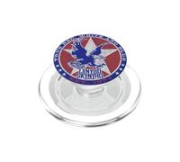 Lynyrd Skynyrd Red White and Blue Eagle Stars Retro Rock années 70 PopSockets PopGrip pour MagSafe
