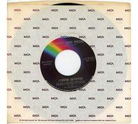 LYNYRD SKYNYRD - saturday night special / made in the shade 45 rpm single