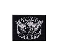 Lynyrd Skynyrd Skull Rockband South Écusson Patch en fer brodé sur accessoire