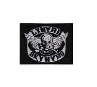 Lynyrd Skynyrd Skull Rockband South Patch Patch Patch Brodé Iron on Applique Accessoire