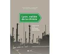 Lyon, vallée de la chimie: Traversée d'un paysage industriel