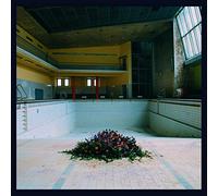 Lyr - Call in The Crash Team [Import]