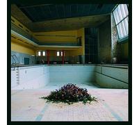 Lyr - Call in The Crash Team [Import]