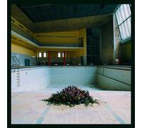 Lyr – Call in The Crash Team – CD (Import)