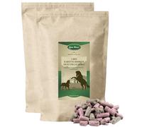 Lyra Horse® | 10 kg de friandises Carotte-Framboise-Herbes Aliments pour Chevaux | Friandises fruitées pour Chevaux | Source équilibrée de nutriments | Récompense Riche en vitamines | Riche en Fibres