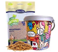 10 litres de vers de farine Lyra Pet® dans un seau design