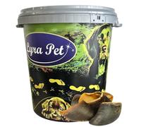 Lyra Pet® 15 pcs. Sabots de bœuf d'env. 80 g chacun + Seau de 30 L/env. 1,2 kg | Friandise Naturelle à mâcher | Friandise pour Chiens | Article à mâcher très digeste | Riche en protéines