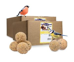 Lyra Pet® 2 x 100 Boules de Graisse sans Filet 90 g = 9 kg Oiseaux Sauvages