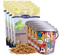 Lyra Pet® 4 x 10 litres de vers de Farine séchés dans Un Seau Design de 10 L | Source Riche en protéines pour Insectivores | Nourriture pour Oiseaux, Reptiles, Amphibiens & Poissons