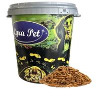 Lyra Pet® 5 kg de Larves de Mouches des Soldats séchées dans Un fût de 30 L